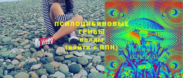 дживик Богородск