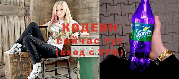 дмт Богородицк