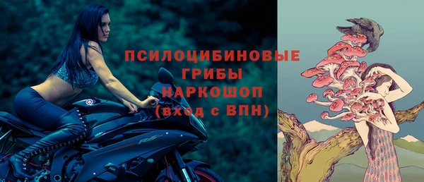 мдпв Беломорск