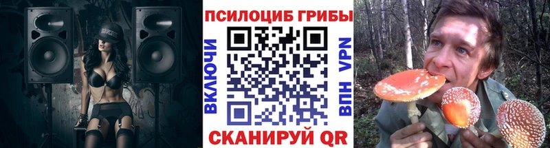 MEGA сайт  Добрянка  Псилоцибиновые грибы прущие грибы 